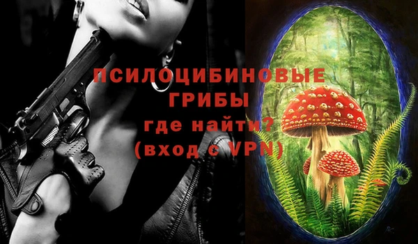 стафф Абдулино