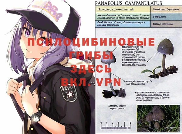кокаин Алзамай