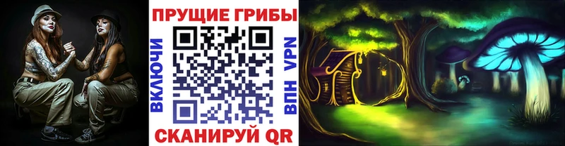 Галлюциногенные грибы Magic Shrooms  купить   kraken вход  Шарья 